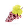 انگور