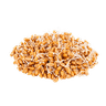 جوانه گندم