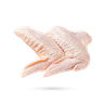 بال‌ مرغ