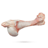 قلم گوسفند