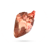 دل گوسفند