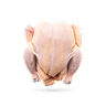 مرغ کامل