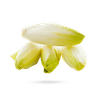 گیاه‌ کاسنی