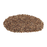 تخم شوید