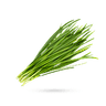 تره کوهی