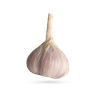 موسیر