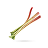ریواس