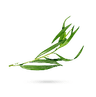 ترخون