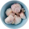 garlic.jpg