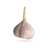 موسیر