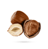 فندق