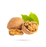 گردو