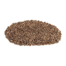 تخم شوید