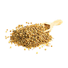 افتیمون