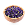 گل پنیرک