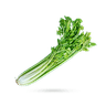 کرفس
