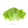 کاهو
