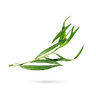 ترخون