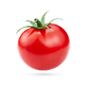 گوجه‌فرنگی