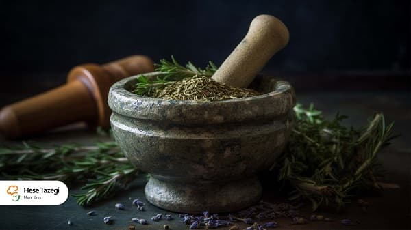 همه چیز درباره آویشن: خواص و بهترین روش‌های مصرف