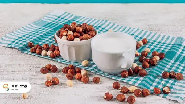 از فواید تا عوارض خوردن شیر فندق که باید بدانید