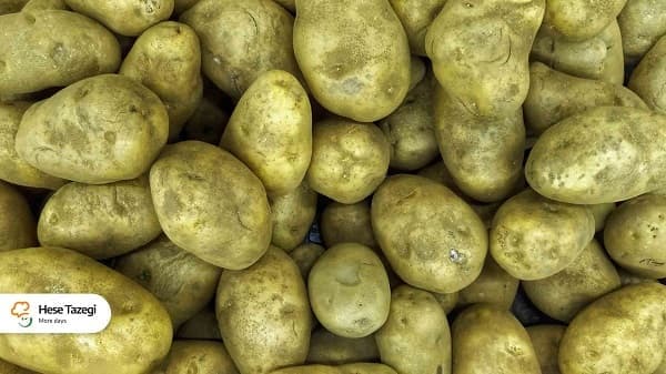 آیا سیب زمینی سبز سرطان زا و خطرناک است