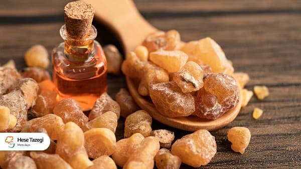 فواید معجزه‌آسای کندر برای سلامتی و آرامش ذهن