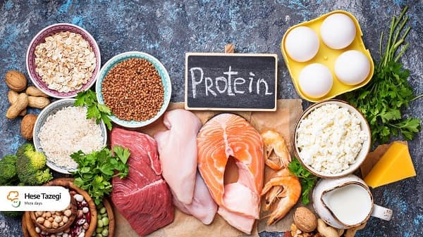 میزان پروتئین موردنیاز برای افراد مختلف چقدر است