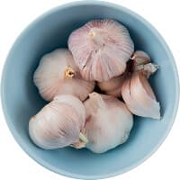 garlic.jpg