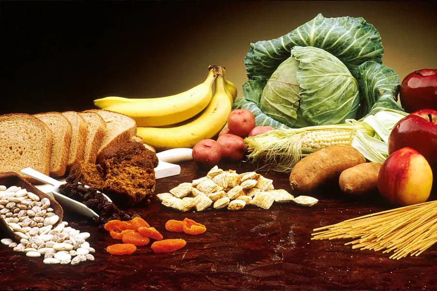 نقش حیاطی فیبر در سلامتی و پیشگیری از بیماریها