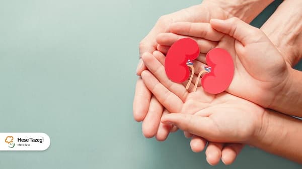 خوراکیهایی که باعث داشتن کلیهای سالم میشود