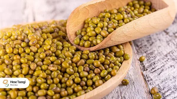 خواص و مضرات ماش؛ ارزش غذایی، روش مصرف و نکات مهم