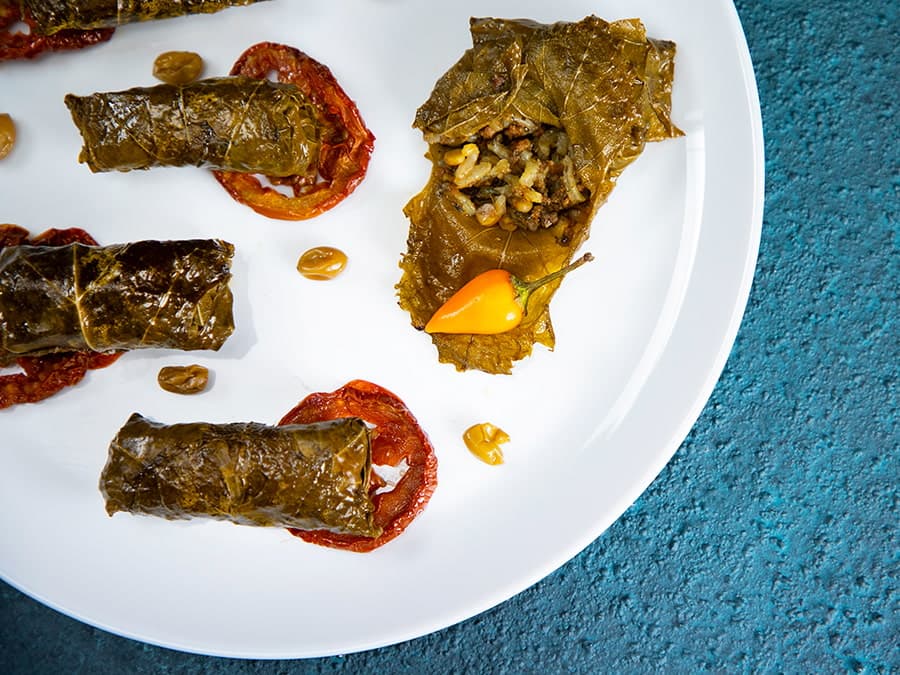 دلمه برگ مو ایران