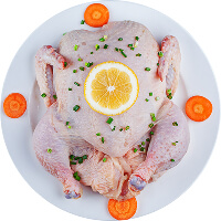 chicken.jpg