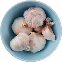 garlic.jpg