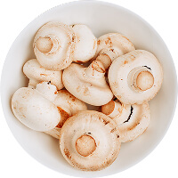 mushrooms.jpg